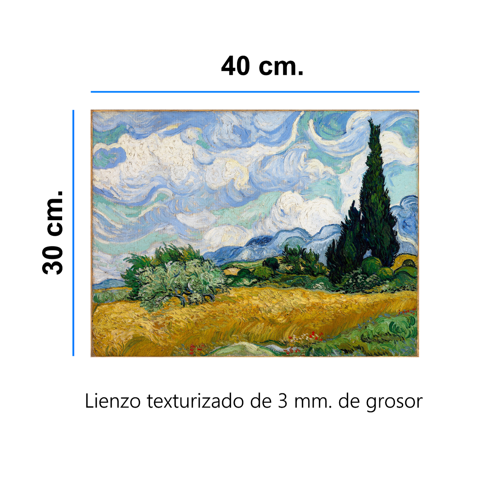 Canvas Plano 30 x 40 cm. - Imagen 2
